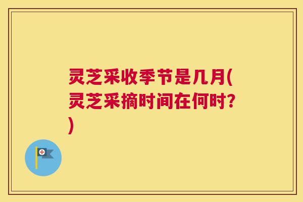 灵芝采收季节是几月(灵芝采摘时间在何时？)