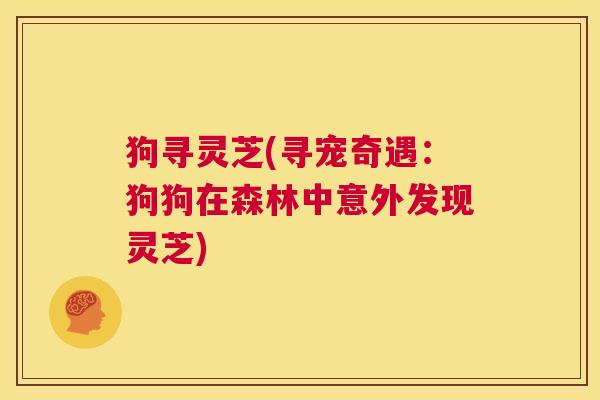 狗寻灵芝(寻宠奇遇:狗狗在森林中意外发现灵芝) 狗寻灵芝(寻宠奇遇:狗狗在森林中意外发现灵芝)