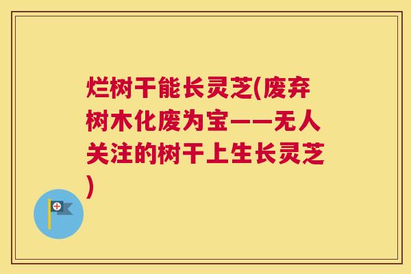 烂树干能长灵芝(废弃树木化废为宝——无人关注的树干上生长灵芝)