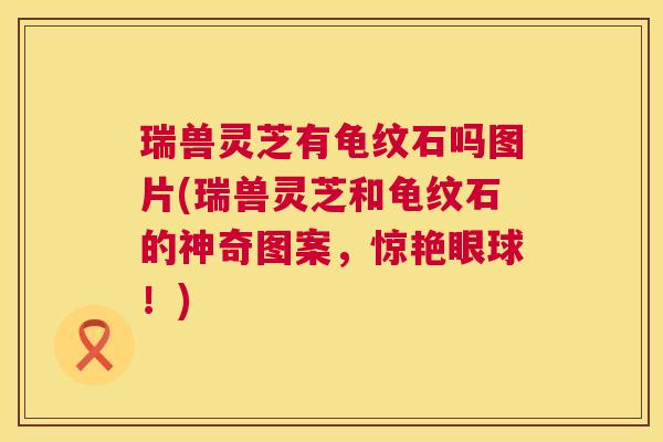 瑞兽灵芝有龟纹石吗图片(瑞兽灵芝和龟纹石的神奇图案,惊艳眼球!) 瑞兽灵芝有龟纹石吗图片(瑞兽灵芝和龟纹石的神奇图案,惊艳眼球!)