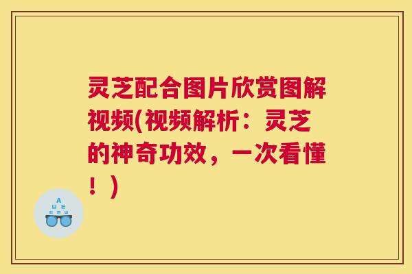 灵芝配合图片欣赏图解视频(视频解析：灵芝的神奇功效，一次看懂！)