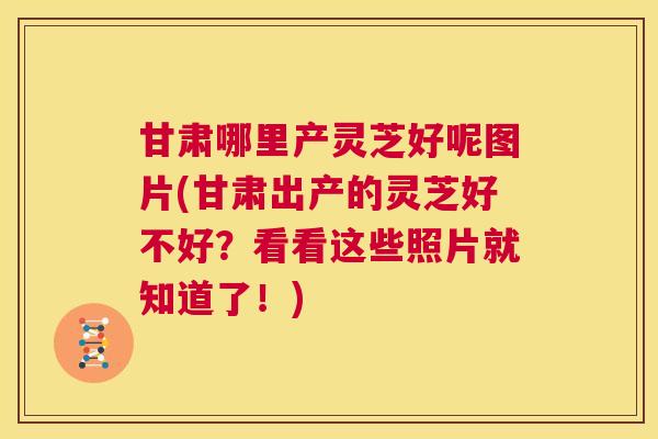 甘肃哪里产灵芝好呢图片(甘肃出产的灵芝好不好?看看这些照片就知道了!) 甘肃哪里产灵芝好呢图片(甘肃出产的灵芝好不好?看看这些照片就知道了!)