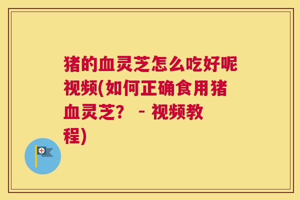 猪的血灵芝怎么吃好呢视频(如何正确食用猪血灵芝？ - 视频教程)