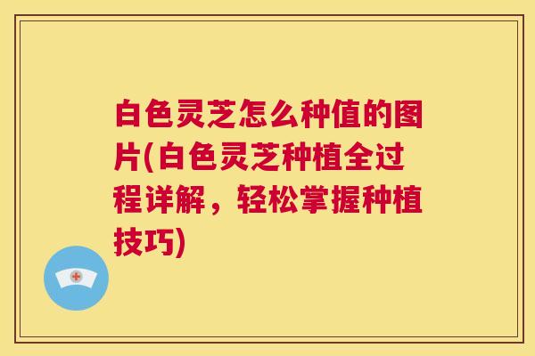 白色灵芝怎么种值的图片(白色灵芝种植全过程详解,轻松掌握种植技巧) 白色灵芝怎么种值的图片(白色灵芝种植全过程详解,轻松掌握种植技巧)