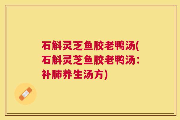 石斛灵芝鱼胶老鸭汤(石斛灵芝鱼胶老鸭汤:补养生汤方) 石斛灵芝鱼胶老鸭汤(石斛灵芝鱼胶老鸭汤:补养生汤方)