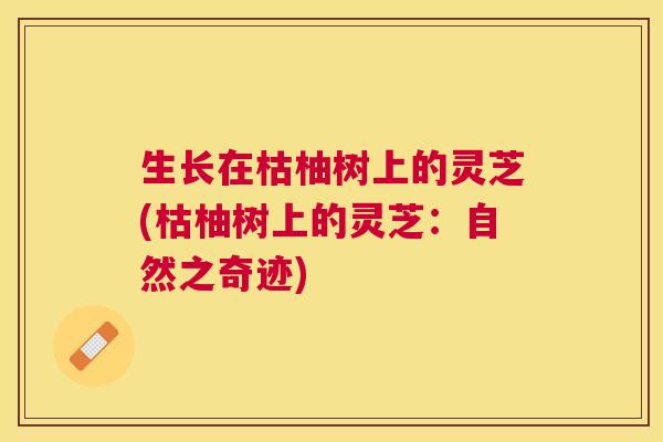 生长在枯柚树上的灵芝(枯柚树上的灵芝:自然之奇迹) 生长在枯柚树上的灵芝(枯柚树上的灵芝:自然之奇迹)