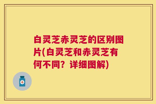 白灵芝赤灵芝的区别图片(白灵芝和赤灵芝有何不同？详细图解)