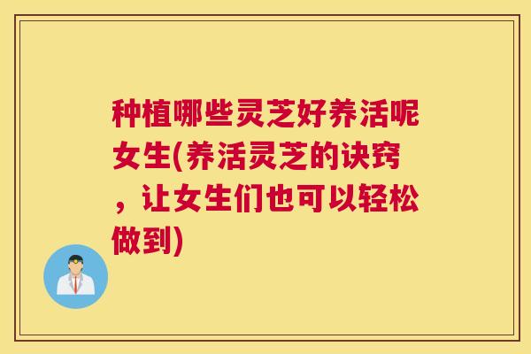 种植哪些灵芝好养活呢女生(养活灵芝的诀窍,让女生们也可以轻松做到) 种植哪些灵芝好养活呢女生(养活灵芝的诀窍,让女生们也可以轻松做到)