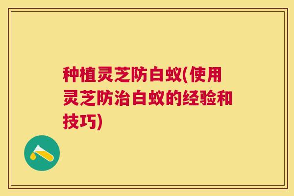种植灵芝防白蚁(使用灵芝防治白蚁的经验和技巧)