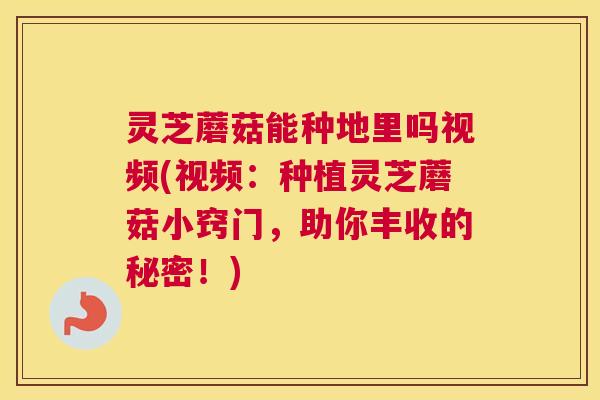 灵芝蘑菇能种地里吗视频(视频：种植灵芝蘑菇小窍门，助你丰收的秘密！)