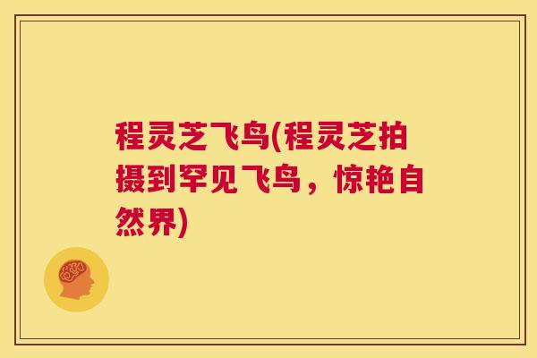 程灵芝飞鸟(程灵芝拍摄到罕见飞鸟,惊艳自然界) 程灵芝飞鸟(程灵芝拍摄到罕见飞鸟,惊艳自然界)
