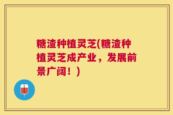 糖渣种植灵芝(糖渣种植灵芝成产业，发展前景广阔！)