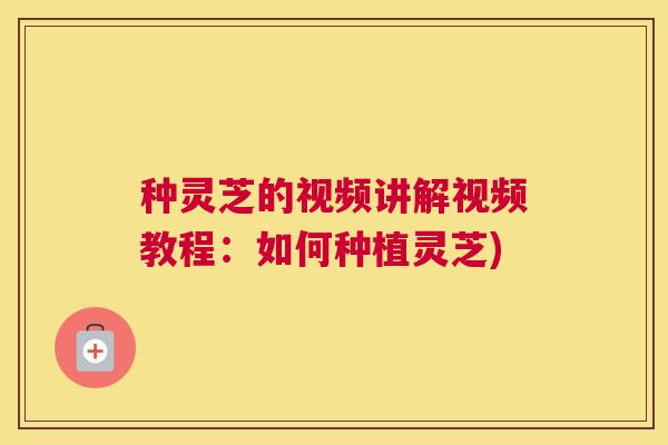 种灵芝的视频讲解视频教程：如何种植灵芝)