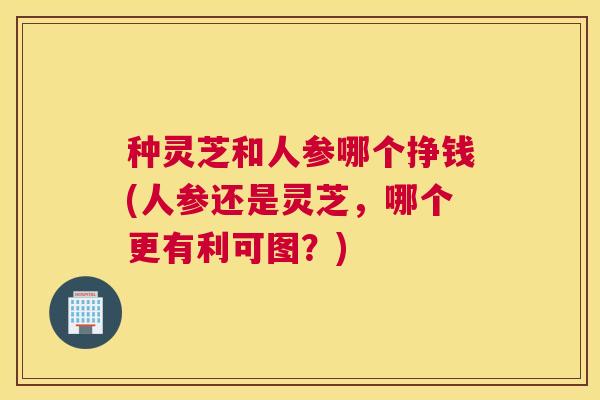 种灵芝和人参哪个挣钱(人参还是灵芝,哪个更有利可图?) 种灵芝和人参哪个挣钱(人参还是灵芝,哪个更有利可图?)