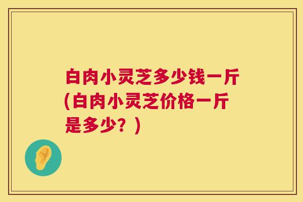 白肉小灵芝多少钱一斤(白肉小灵芝价格一斤是多少？)