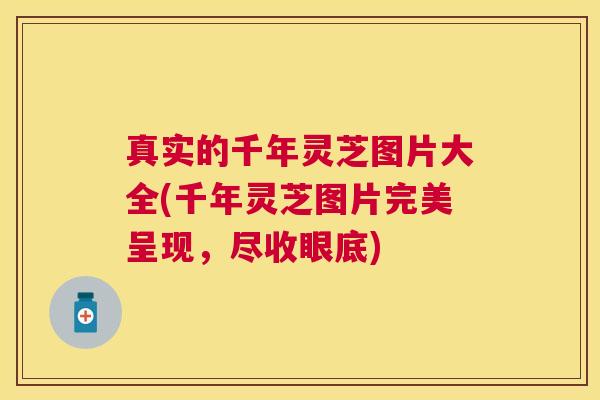 真实的千年灵芝图片大全(千年灵芝图片完美呈现，尽收眼底)