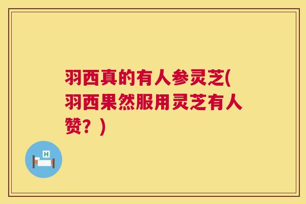 羽西真的有人参灵芝(羽西果然服用灵芝有人赞？)