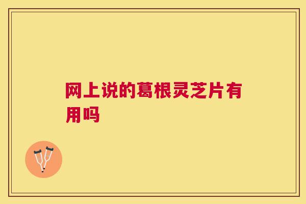 网上说的葛根灵芝片有用吗