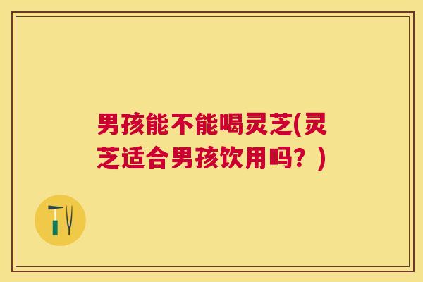 男孩能不能喝灵芝(灵芝适合男孩饮用吗？)