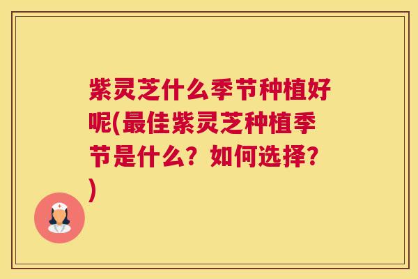 紫灵芝什么季节种植好呢(最佳紫灵芝种植季节是什么？如何选择？)