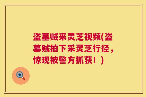 盗墓贼采灵芝视频(盗墓贼拍下采灵芝行径，惊现被警方抓获！)