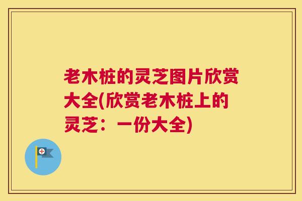 老木桩的灵芝图片欣赏大全(欣赏老木桩上的灵芝：一份大全)