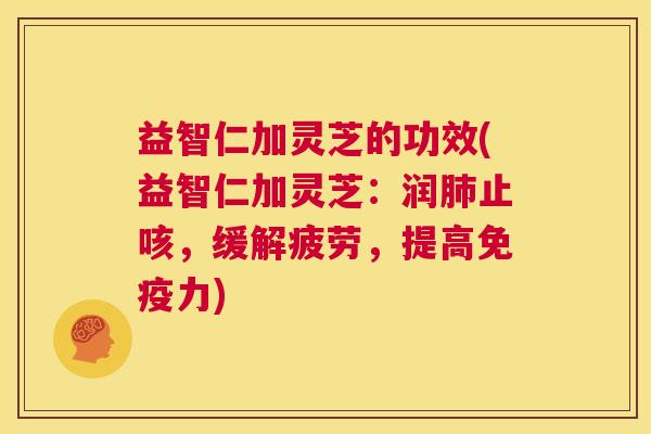 益智仁加灵芝的功效(益智仁加灵芝：润肺止咳，缓解疲劳，提高免疫力)