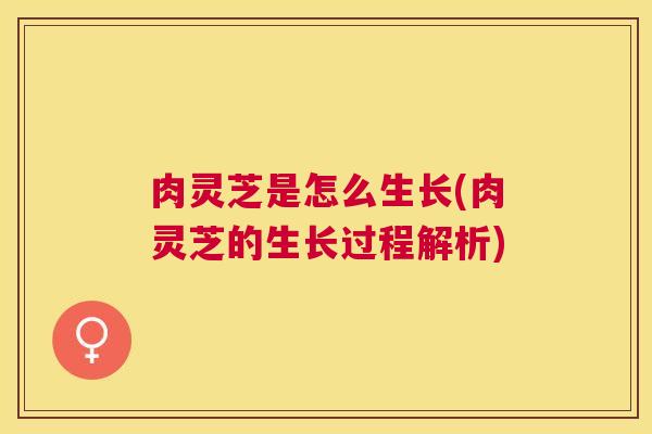 肉灵芝是怎么生长(肉灵芝的生长过程解析) 肉灵芝是怎么生长(肉灵芝的生长过程解析)