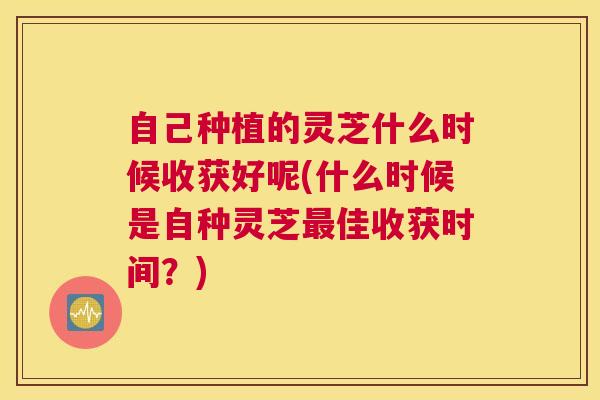 自己种植的灵芝什么时候收获好呢(什么时候是自种灵芝最佳收获时间？)