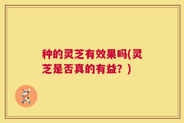 种的灵芝有效果吗(灵芝是否真的有益？)