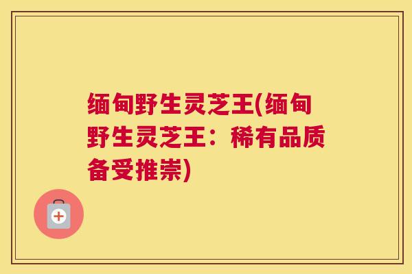 缅甸野生灵芝王(缅甸野生灵芝王：稀有品质备受推崇)
