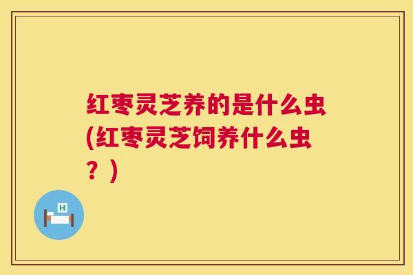 红枣灵芝养的是什么虫(红枣灵芝饲养什么虫？)