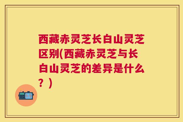 西藏赤灵芝长白山灵芝区别(西藏赤灵芝与长白山灵芝的差异是什么?)