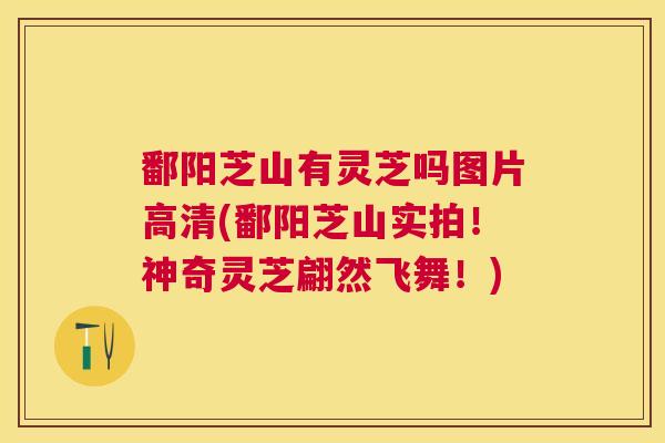 鄱阳芝山有灵芝吗图片高清(鄱阳芝山实拍！神奇灵芝翩然飞舞！)