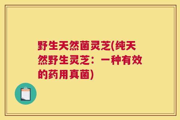 野生天然菌灵芝(纯天然野生灵芝：一种有效的药用真菌)