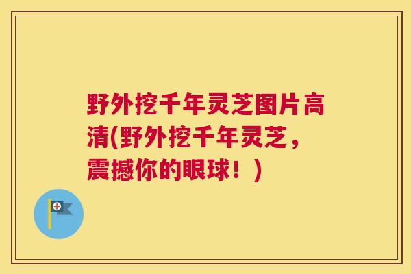 野外挖千年灵芝图片高清(野外挖千年灵芝，震撼你的眼球！)