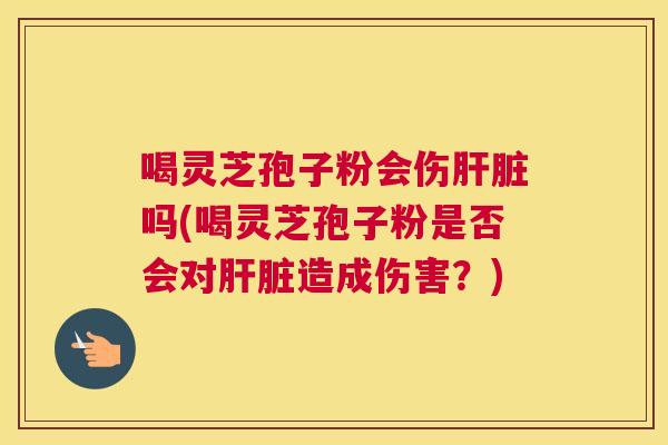 喝灵芝孢子粉会伤肝脏吗(喝灵芝孢子粉是否会对肝脏造成伤害？)