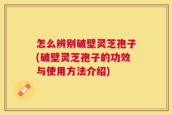 怎么辨别破壁灵芝孢子(破壁灵芝孢子的功效与使用方法介绍)