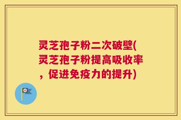 灵芝孢子粉二次破壁(灵芝孢子粉提高吸收率，促进免疫力的提升)
