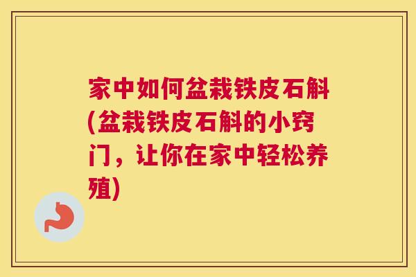 家中如何盆栽铁皮石斛(盆栽铁皮石斛的小窍门，让你在家中轻松养殖)