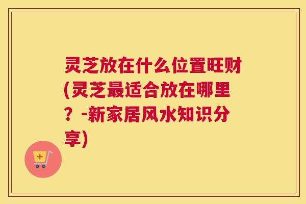 灵芝放在什么位置旺财(灵芝适合放在哪里?-新家居风水知识分享) 灵芝放在什么位置旺财(灵芝适合放在哪里?-新家居风水知识分享)