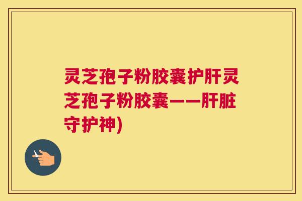 灵芝孢子粉胶囊护肝灵芝孢子粉胶囊——肝脏守护神)