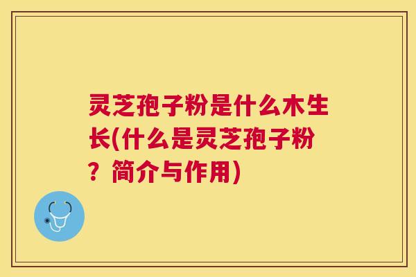 灵芝孢子粉是什么木生长(什么是灵芝孢子粉？简介与作用)