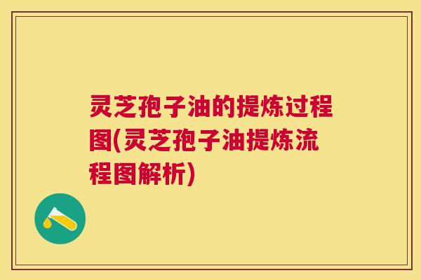 灵芝孢子油的提炼过程图(灵芝孢子油提炼流程图解析)