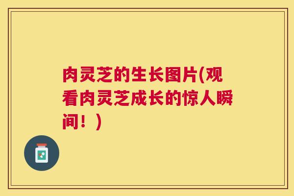 肉灵芝的生长图片(观看肉灵芝成长的惊人瞬间!) 肉灵芝的生长图片(观看肉灵芝成长的惊人瞬间!)