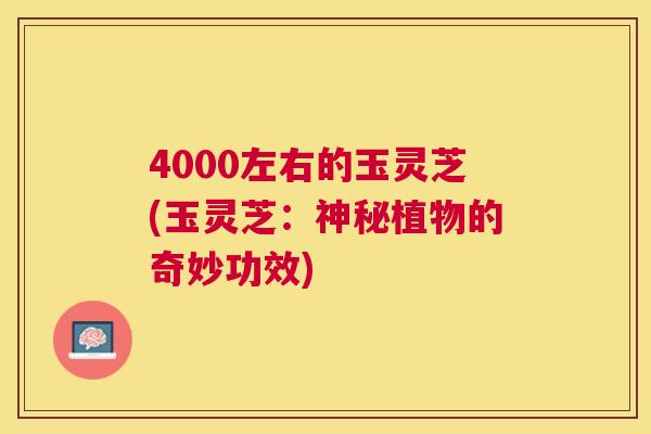 4000左右的玉灵芝(玉灵芝:神秘植物的奇妙功效)