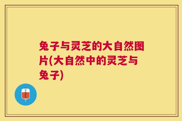 兔子与灵芝的大自然图片(大自然中的灵芝与兔子)