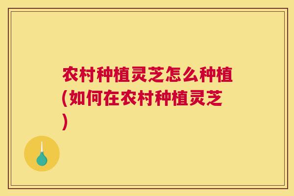 农村种植灵芝怎么种植(如何在农村种植灵芝)