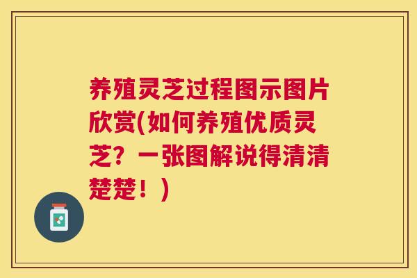 养殖灵芝过程图示图片欣赏(如何养殖优质灵芝？一张图解说得清清楚楚！)