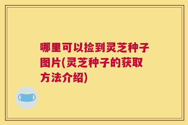 哪里可以捡到灵芝种子图片(灵芝种子的获取方法介绍)